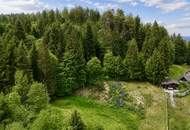 TRAUMHAFTES BAUGRUNDSTÜCK IN RUHELAGE & SEENÄHE – 2.069 M² FÜR IHR EIGENHEIM!