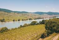 WEINGARTEN IN AUSSICHTSLAGE IM WEINBAUGEBIET WACHAU - WEINGARTEN, LANDWIRTSCHAFTLICHE FLÄCHEN - GRUNDSTÜCK IN DER WACHAU - KEIN BAUGRUNDSTÜCK!