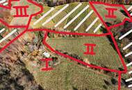 Weingarten mit Landwirtschaft und Altbestand in Kranach, Gemeinde Gamlitz