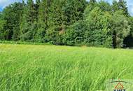 Sonniger Baugrund bei St. Ruprecht an der Raab -- zwischen Weiz & Gleisdorf