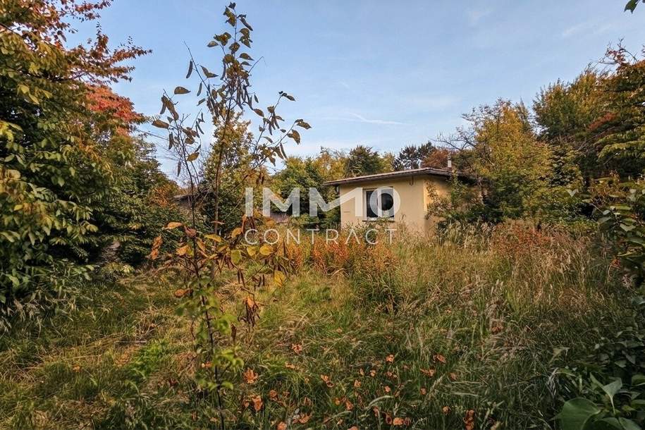 Gelegenheit! Platz für Wohnträume – großes, erschlossenes Grundstück mit Altbestand - für Familie oder Projektbau, Grund und Boden-kauf, 420.000,€, 2603 Wiener Neustadt(Land)