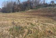 Grundstück für Einfamilienhaus - Doppelhaus oder Kleinhausbau mit 3 Einheiten