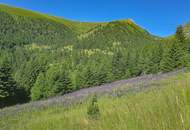 ALM-CHALET 9 - Freizeitwohnsitz in Toplage