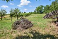 Traditioneller Weinkeller mit Presshaus und 2.421 m² Weingarten in Ebenthal – Ihr Rückzugsort im Weinviertel!