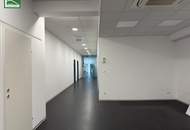 Moderne Betriebsimmobilie: Perfekt für Logistik, Büro oder Produktion – Top-Objekt in Maria Lanzendorf: ab sofort verfügbar. - WOHNTRAUM