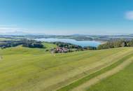 Naturjuwel am Wallersee — massives Fichtenblockhaus auf außergewöhnlichem Grund