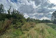 Baugrund in Kleinsitzendorf sucht Visionär - Traumgegend, Traumplatz, Traum wird wahr!