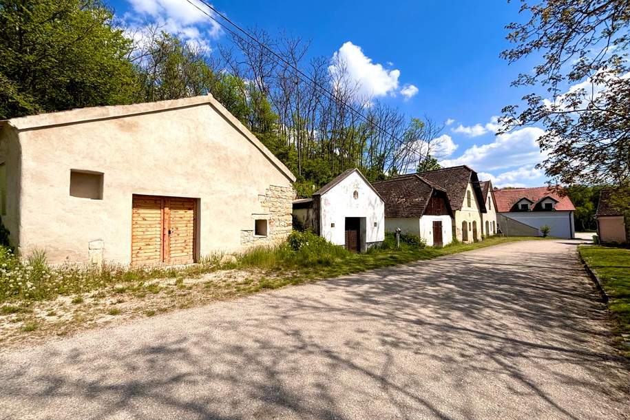 Charmantes Presshaus mit großzügiger Kellerröhre und idyllischem Gründach in Sitzendorf an der Schmida, Haus-kauf, 18.400,€, 3714 Hollabrunn