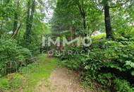 Achtung neuer Preis!! Mehrfamilienhaus in Puchenstuben