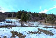 Natur, Ruhe und Aussicht – 2400 m² Baugrund am Semmering