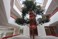 "Bürofläche für vielfältigee Nutzung!"