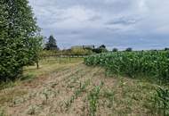 SONNIGE LEBENSQUALITÄT AM LAND OHNE BAUZWANG - LEISTBARES BAUGRUNDSTÜCK IN SIEDLUNGSLAGE IN GRAFENWÖRTH