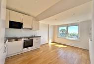 Penthouse mit Donaublick und 360 Grad Dachterrasse - direkt an der Alten Dona