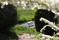 Naturidylle pur - Leben am sanften Flusslauf