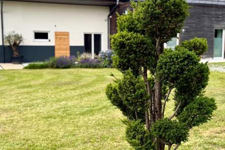 Außergewöhnlicher LANDSITZ VOLLSANIERT (Provisionsfrei), Haus-kauf, 2.200.000,€, 8280 Hartberg-Fürstenfeld