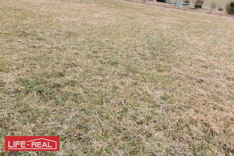 Baugrundstück im Grünen, Ideal für Naturliebhaber und Familien, Grund und Boden-kauf, 87.800,€, 4240 Freistadt