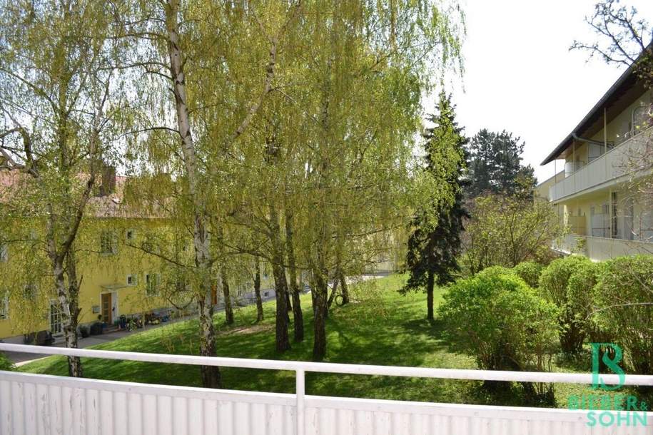 Südbalkon - Sonne- Grün - Ruhe! Top renovierte Garconniere, Wohnung-miete, 520,00,€, 2340 Mödling