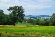 Ihr Stück Paradies unweit von Graz, am Beginn des Südsteirischen Weinlandes – Landwirtschaft mit Potenzial