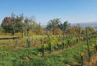 7000 Eisenstadt sehr schönes 60m2 Terrassen Apartment Top möbliert mit Seeblick in herrlicher Waldrand Ruhelage! (Provisionsfrei)