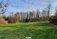 Wald und Wiese