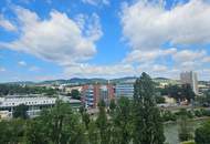 Blick auf den Kahlenberg, über den Dächern von Wien