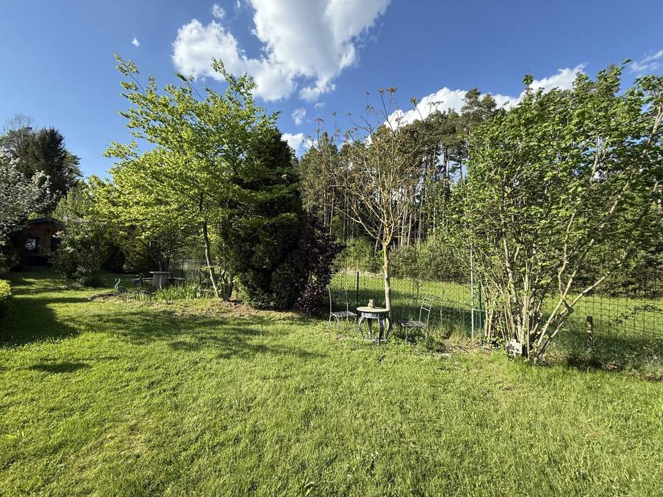 Provisionsfrei - Schönes Freizeitgrundstück mit Obstgarten