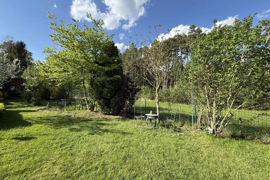 Provisionsfrei - Schönes Freizeitgrundstück mit Obstgarten, Grund und Boden-kauf, 49.000,€, 3950 Gmünd