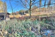 Velden - Augsdorf: *NATURNAH* idyllischer Baugrund mit Altbestand, Grünlandanteil und Teich