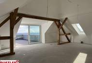 Luxuriöses Penthouse mit historischem Charme und Blick über die Weingärten