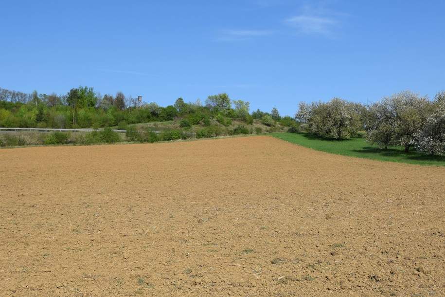 Industriegebiet - Grundstück in Oberwart – Große Wertsteigerung möglich! (Provisionsfrei), Grund und Boden-kauf, 297.000,€, 7400 Oberwart