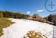 MAGISCHER RÜCKZUGSORT: Charmantes Einfamilienhaus in Ruhelage