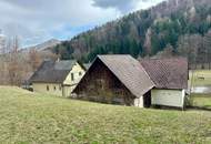 Geräumiges Ein- bzw. Zweifamilienhaus mit Wirtschaftsgebäude