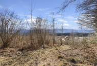 Ihr Logenplatz in der Natur – Baugrundstück mit spektakulärer Aussicht & Waldrandlage