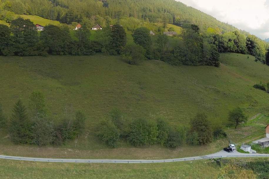 Wunderschöne Aussichtslage - Baugrund und ca. 7 ha Wiese!, Grund und Boden-kauf, 8790 Leoben