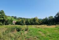 BAUGRUNDSTÜCKE - NEUPARZELLIERUNG IN SCHÖNER RUHELAGE