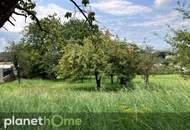 Bauland mit landwirtschaftlichem Gebäude und Altbaumbestand