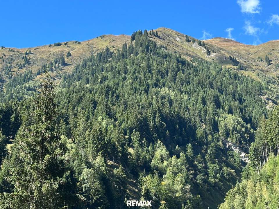 Waldgrundstück in Hüttschlag – ca. 40.000 m² Natur & Wert