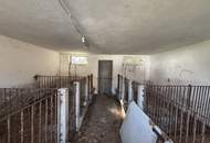 Historisches Bauernhaus in idyllischer Lage mit 12.640m² Grund