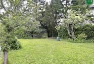 Grünes Refugium in Hietzing – 627 m² Gartengrund mit charmantem Wochenendhaus