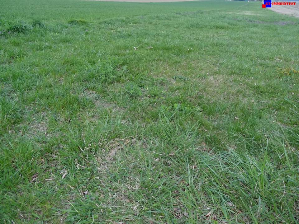 7024 Hirm sehr interessantes 4400m² Bauträgergrundstück !