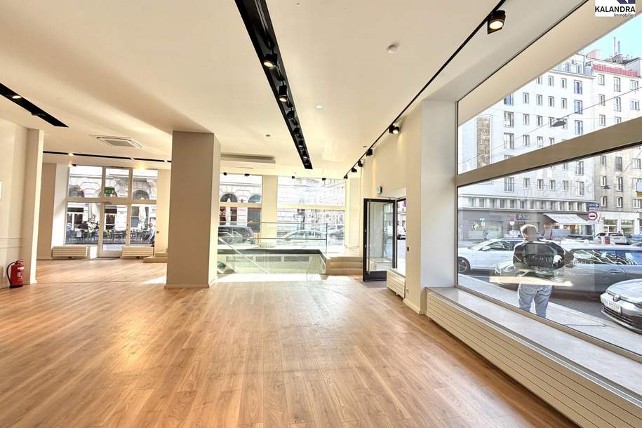 360 TpUR // GESCHÄFTSLOKAL IN TOPLAGE, Gewerbeobjekt-miete, 8.305,63,€, 1010 Wien 1., Innere Stadt