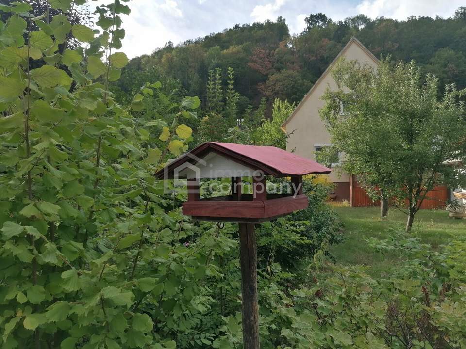 Charmantes Einfamilienhaus mit Garage, Werkstatt &amp; großem Nebengebäude in Gloggnitz
