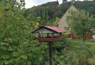 Charmantes Einfamilienhaus mit Garage, Werkstatt &amp; großem Nebengebäude in Gloggnitz