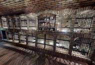 Helle Terrassenwohnung inklusive Pool, Weinkeller, Fitness- und Wellnessbereich