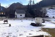 MÜRZSTEG - GEPFLEGTE, SONNIGE MIETWOHNUNG