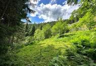 Grundstück in Hüttau im Fritztal auf ca 1400 Meter inkl. genehmigten Plan für ein Landhaus (Chalet)