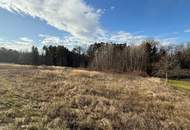 Großes Baugrundstück mit Wald ohne Bauzwang