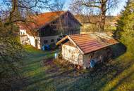 Charmantes Sacherl mit Sanierungsbedarf in naturverbundener Ruhelage
