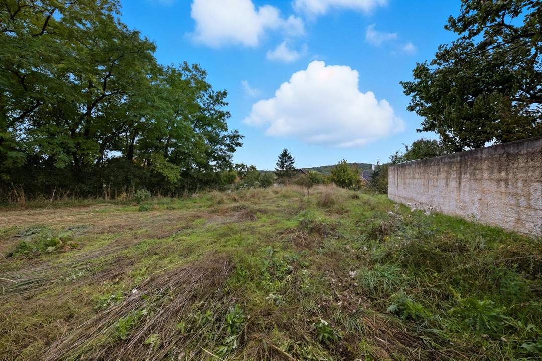 Attraktives Baugrundstück in naturnaher Lage – ca. 2.859 m² in Großweikersdorf!