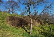 Baugrund - Sonnenlage - Aussichtslage - Hanglage am Ring in Hartberg